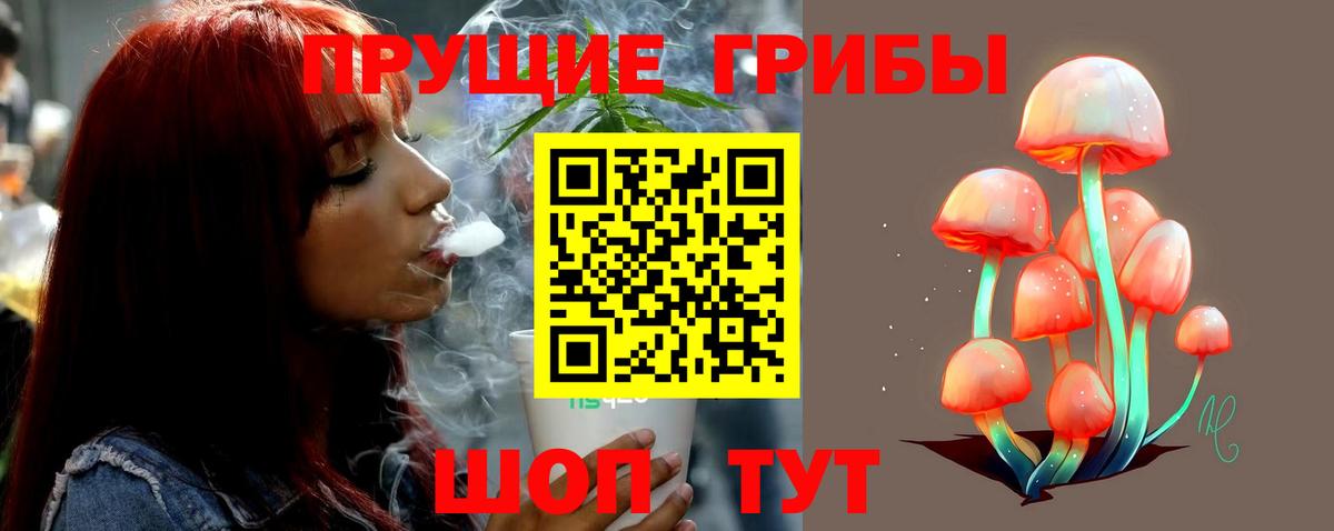 Среднеуральск  Псилоцибиновые грибы Cubensis  Вход с VPN 